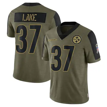 Youth Nike Pittsburgh Steelers Carnell Lake Olive 2021 Salute To Service Jersey - Limited