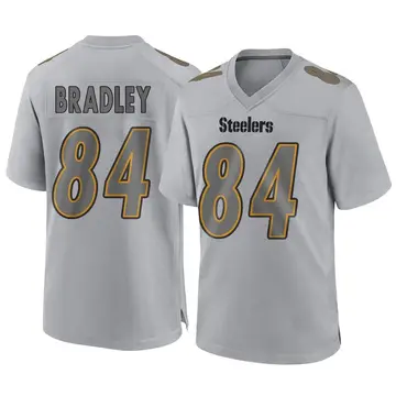 Youth Nike Pittsburgh Steelers Ja'Marcus Bradley Gray Atmosphere Fashion Jersey - Game