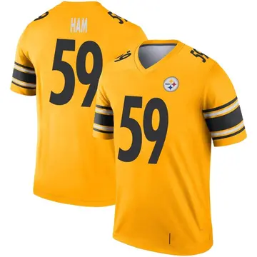 Youth Nike Pittsburgh Steelers Jack Ham Gold Inverted Jersey - Legend