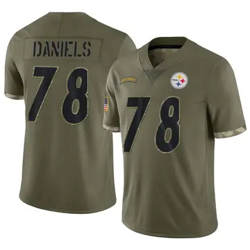 Youth Nike Pittsburgh Steelers James Daniels Olive 2022 Salute To Service Jersey - Limited