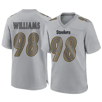 Youth Nike Pittsburgh Steelers Vince Williams Gray Atmosphere Fashion Jersey - Game