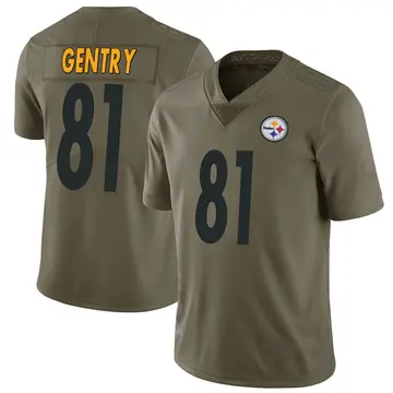 Youth Nike Pittsburgh Steelers Zach Gentry Green 2017 Salute to Service Jersey - Limited